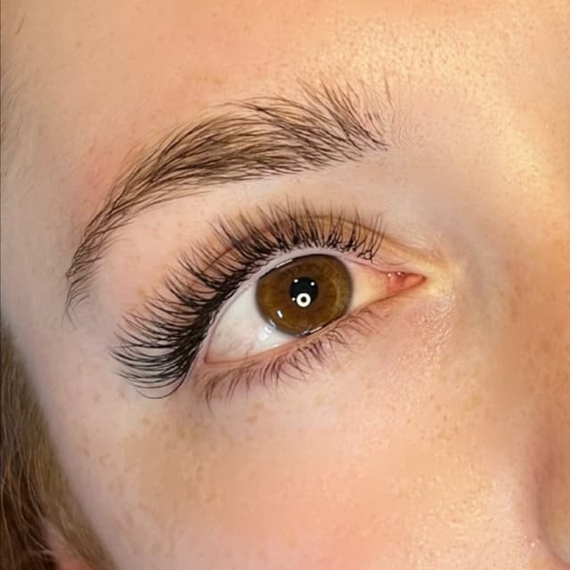 Lash Maintenance Membership at So In Love Lashes in La Jolla, CA